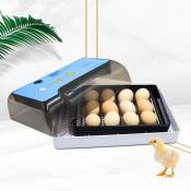 Mini couveuse digitale 12 oeufs Couveuse entièrement automatique Couveuse pour oeufs de poule avec led Température et humidité pour poulets, canards,