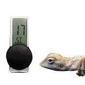 OMEM Thermomètre numérique pour reptile, adsorption