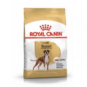 Royal Canin Boxer Adult - Croquettes pour chien-Boxer