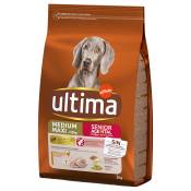 Ultima Medium / Maxi Senior poulet pour chien - 6 kg (2 x 3 kg)