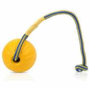 Yius Interactive Pet Rope Ball, Outdoor Training Chew