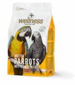 Aliment Wellness Parrots 2.5 KG Padovan