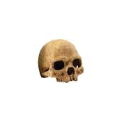 Exo Terra - primat skull décoration 15X16X16 cm PT2855