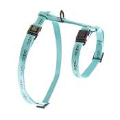 Harnais Chat – Martin Sellier Harnais Frimousse turquoise