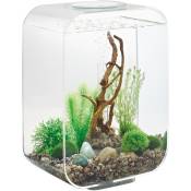 Aquarium décoratif 15l avec cadre transparent Oase Life 15 mcr transparent - verre transparent