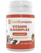 CaniComplete Vitamin B Complet pour Chien Chat : B1,