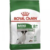 Croquette chien royalcanin mini adult 8+ 2kg ROYAL CANIN 30020200