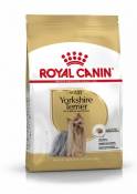 Yorkshire Terrier Adulte pour Chien de Race 0.5 Kg