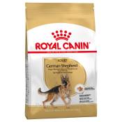 2x11kg Berger Allemand German Shepherd Adult Royal Canin Breed - Croquettes pour chien