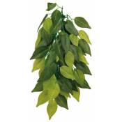 Plante tissu à suspendre, Ficus - ø 20 × 50 cm. Trixie Vert