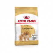 Royal Canin Pomeranian (Spitz Nain) Adult - Croquettes pour chien-