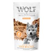 Wolf of Wilderness Training JUNIOR “Explore the Wide