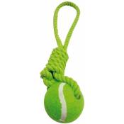 Jeu pour chien avec corde et balle de tennis