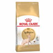 2kg Sphynx Adult Breed Royal Canin Croquettes pour