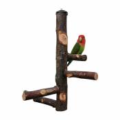 Parrot Cage Parrot Toy Natural Wood Bass for 3 or 4