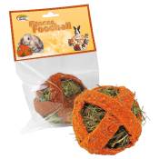 Quiko Fitness Foodball Carotte pour rongeur et lapin