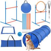 Vingo - Agility sport pour chiens équipement complet