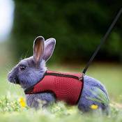 Harness for Rabbits Guinea Pigs Small Animals with