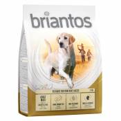 1kg Briantos Adult Maxi - Croquettes pour chien
