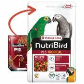 Aliment pour perroquets taille M/L NUTRIBIRD P15 TROPICAL