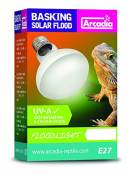 Arcadia sbf100 Ampoule pour Lampe Solaire UVA Floodlight