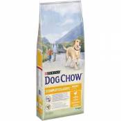 DOG CHOW Croquettes Complet - Avec du poulet - Pour