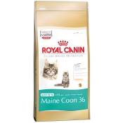 Feline Nutrition Kitten Maine Coon 36 - Royal C…