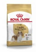Cavalier King Charles Adult 3 Kg Royal Canin