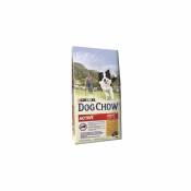Dog chow Active Adult 14 kg Chicken - Black - Purina