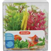 Zolux - Decor plant boit mix x6 mod4