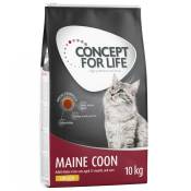 3x3kg All Cats 10+ Concept for Life - Croquettes pour