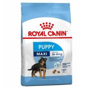 Croquettes Chiot Royal Canin Maxi Junior : 15 kg
