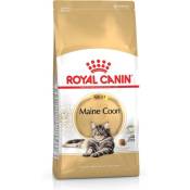 Royal Canin - fbn Maine Coon Adult - nourriture sèche