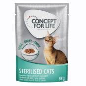 48x85g Sterilised Cats en sauce Concept for Life - Sachet pour chat