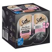 Sheba Perfect Portions 48 x 37,5 g pour chat - Terrine