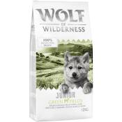 2x12kg Little Wolf of Wilderness Junior Green Fields,