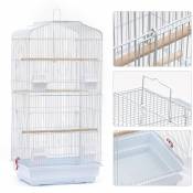 Cage pour Oiseaux Volière de Perroquet Canaries Perruche