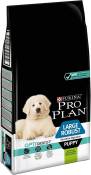 Croquettes Purina Pro Plan Large Robust Puppy Optidigest