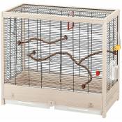 Giulietta 5 Cage en bois fsc pour canaris et oiseaux