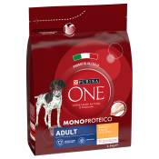 Lot PURINA ONE pour chien - Mono-Protein Adult poulet