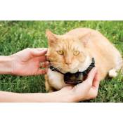 Petsafe - Collier supplementaire Special Chat