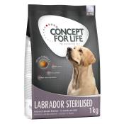 4x1kg Labrador Sterilised Concept for Life - Croquettes pour chien