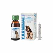 Catalyse Carminal Animaux Porte-muqueuses gastriques et intestinales pour chiens et chats, solution orale 150 ml