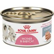 Royal Canin - alimento para gatitos mother&babycat