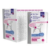 12x 100g Forza 10 Intestinal Actiwet nourriture pour chien humide