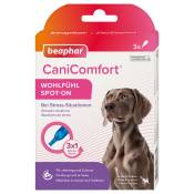 3x1ml beaphar CaniComfort Spot-On bien-être chien