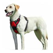 L&h-cfcahl - Bracelet de chien Buste rouge 38-71cm Bracelet pour animaux de compagnie