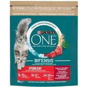 One Bifensis Sterilcat Beef - nourriture sèche pour chats - 800 g - Purina