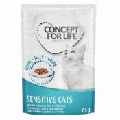 48x85g Sensitive Cats en gelée Concept for Life - Sachets et Boîtes pour Chat