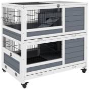 Clapier cage lapin sur roulettes - 2 niveaux, 2 plateaux, 3 portes, rampes - bois sapin gris blanc